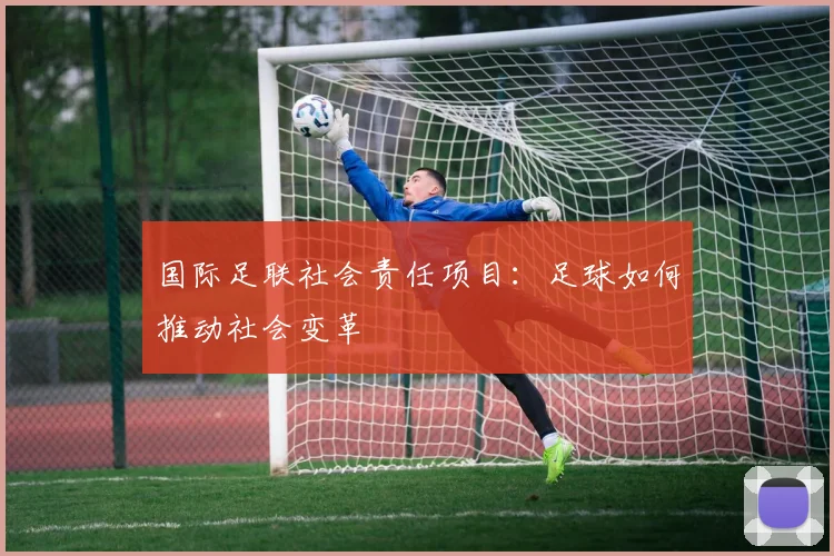 国际足联社会责任项目：足球如何推动社会变革